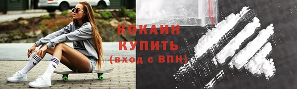 прущий лед Новозыбков
