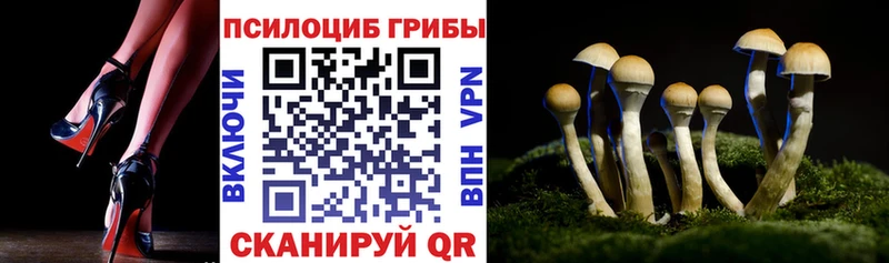 Галлюциногенные грибы Magic Shrooms  Каневская 